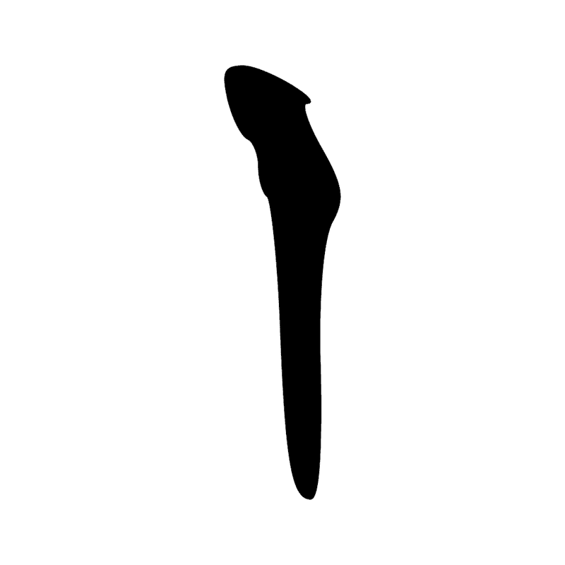 Signe n° 4015