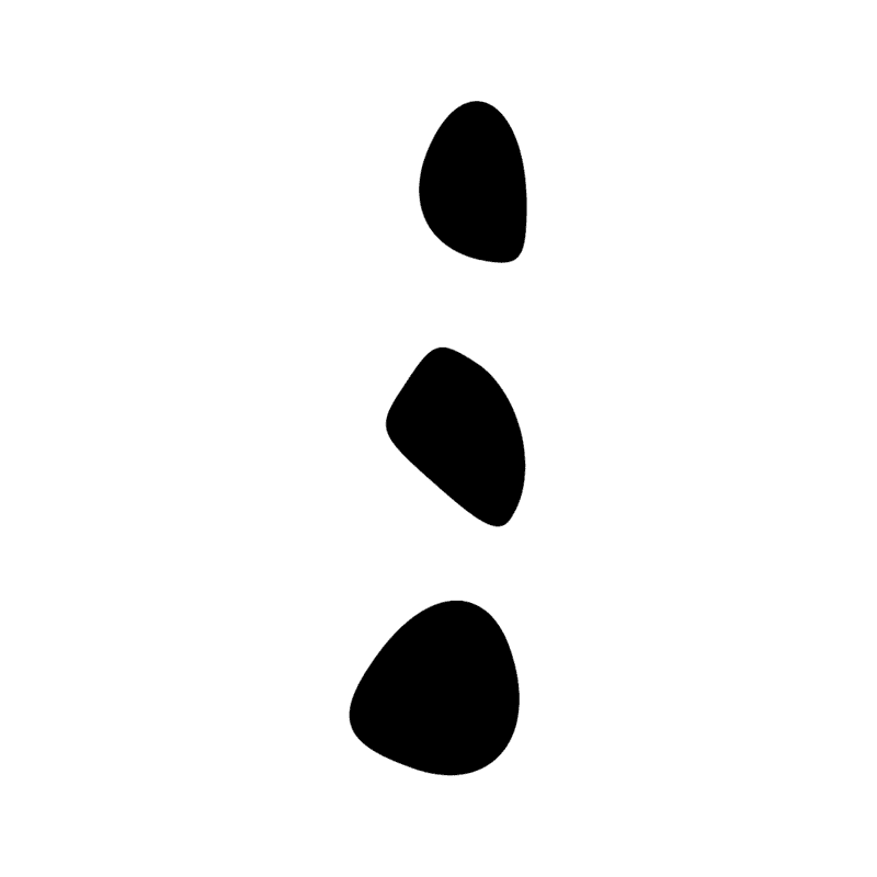 Z3