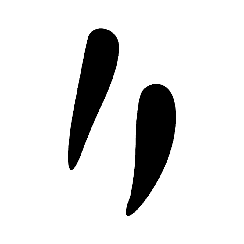 Z4 — Deux traits obliques