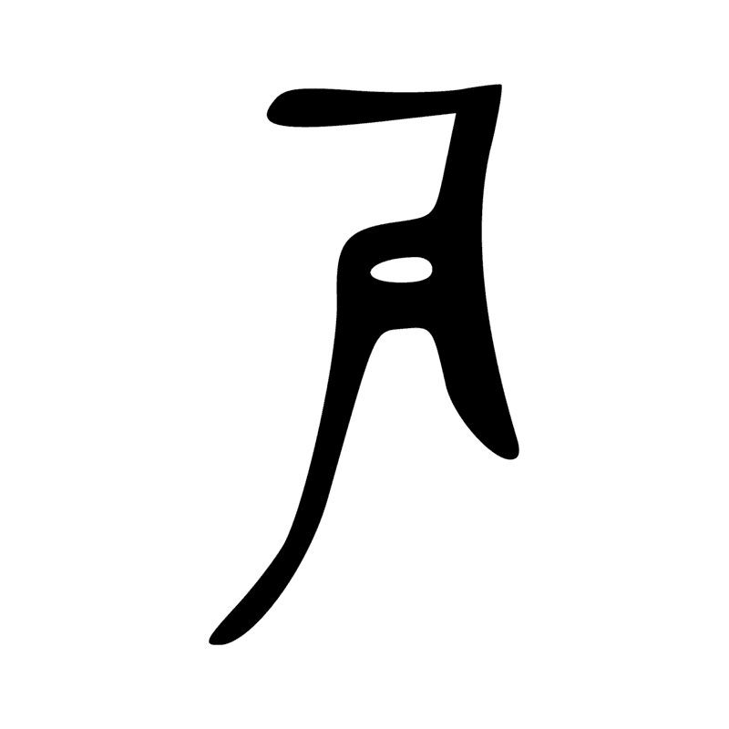 V11 — Section de cartouche