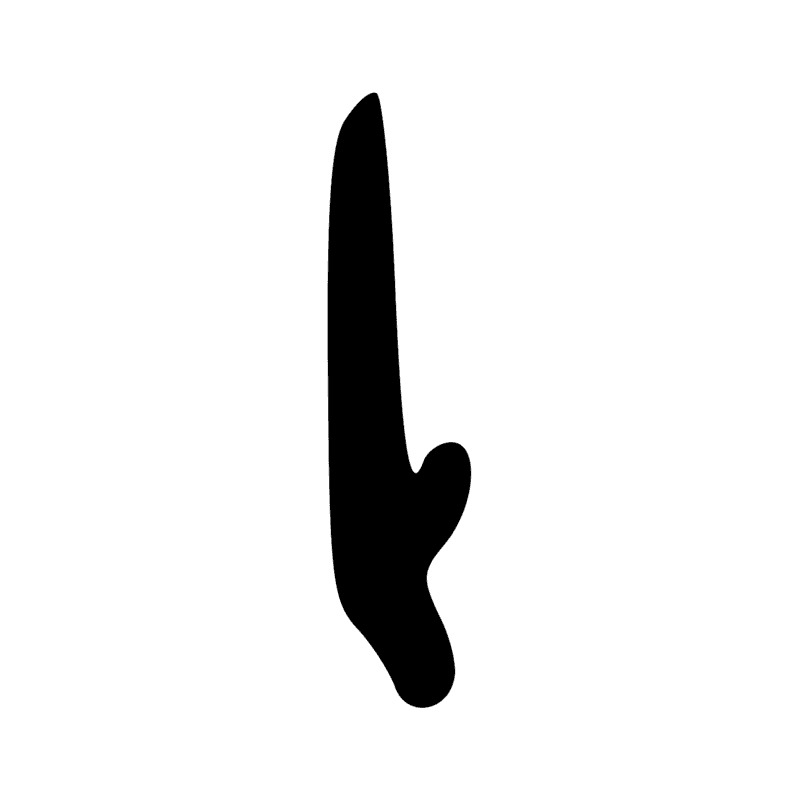 Signe n° 4465