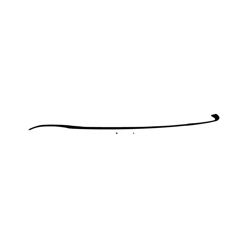 Signe n° 4619