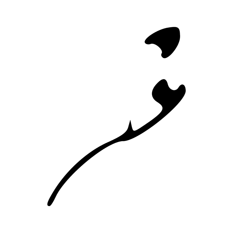 Signe n° 4823