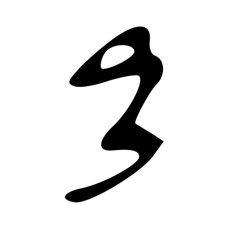 D21 Z4