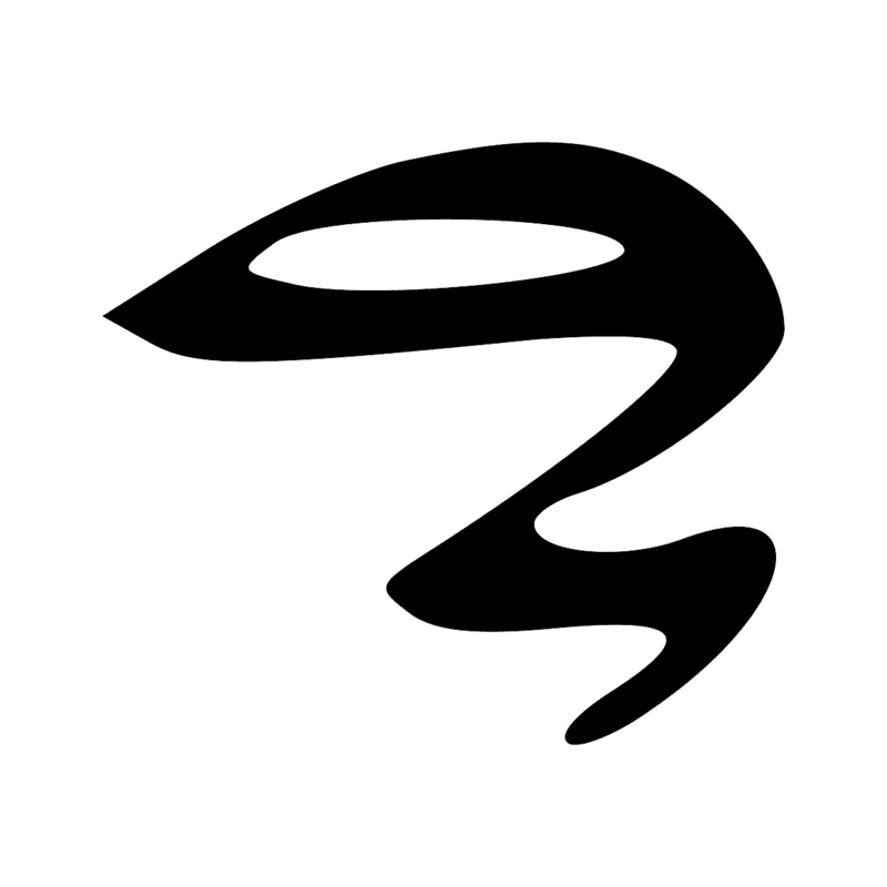 D21 X1