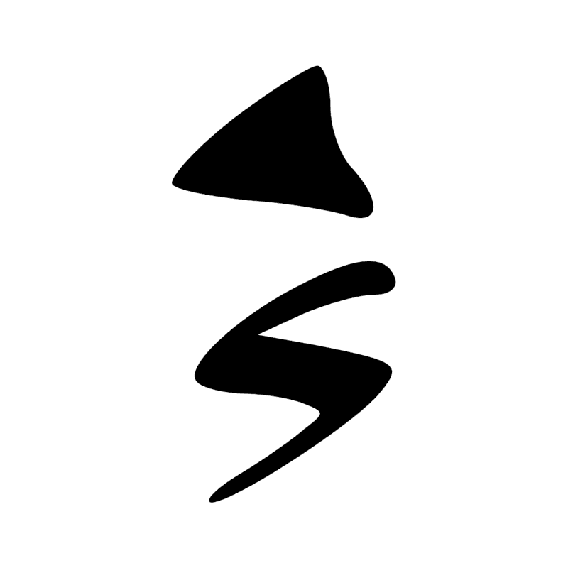 X1 D21