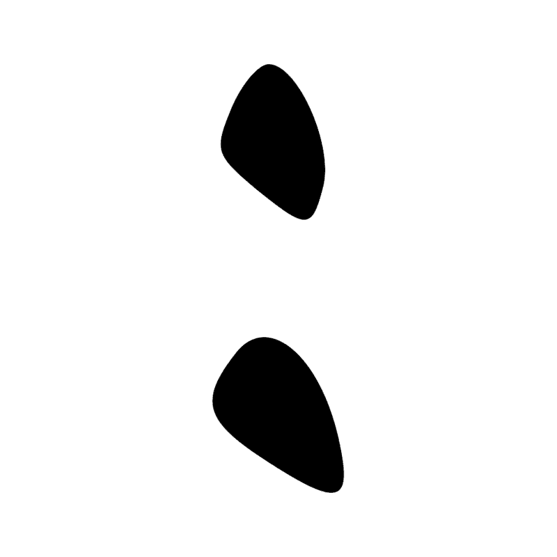 Signe n° 5541