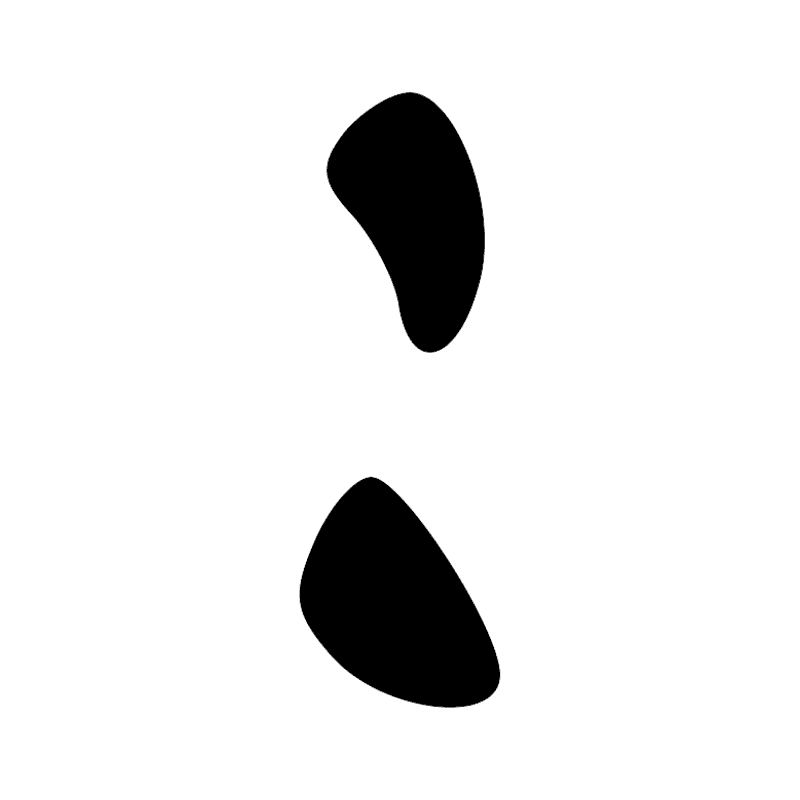 Signe n° 5543