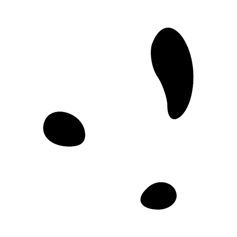 Signe n° 5546