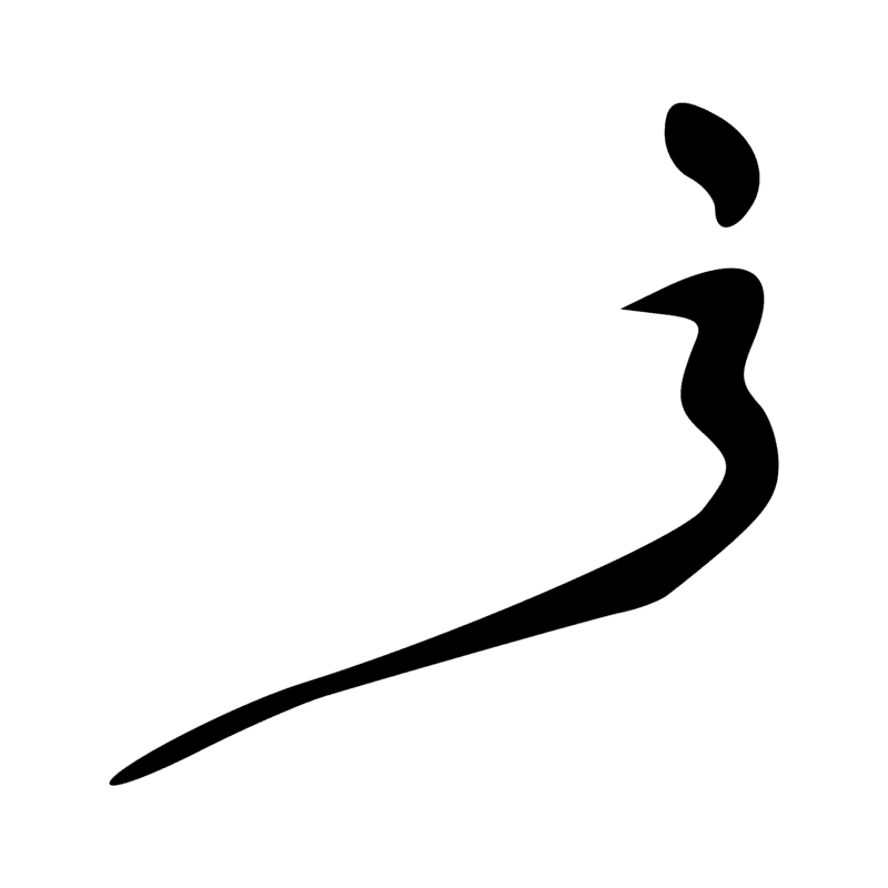 D15 — Partie de l'oeil Oudjar