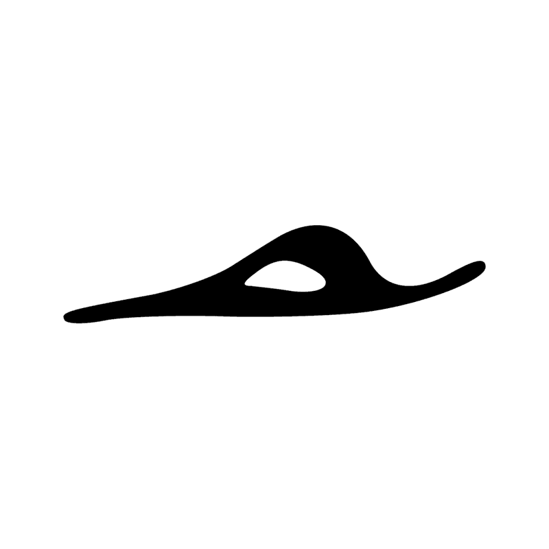 D46 — main