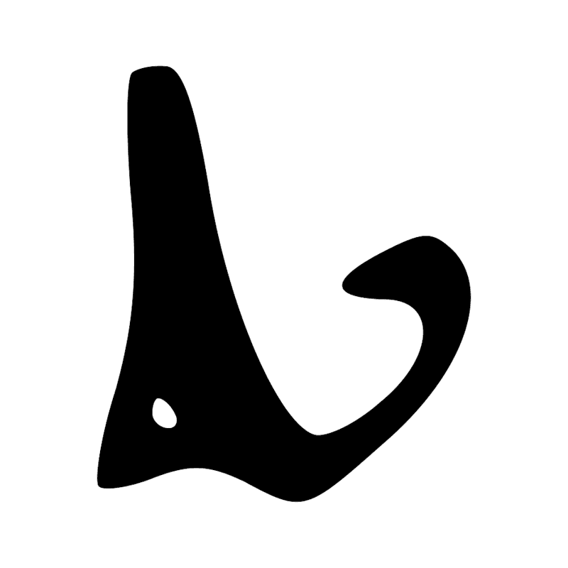 D58 — Jambe