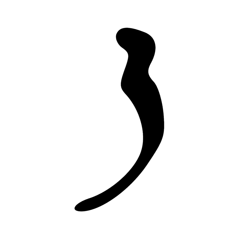 Signe n° 6055