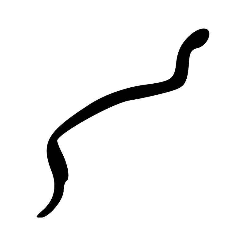 Signe n° 6145