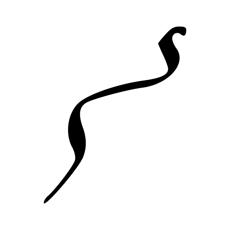 I10 — Cobra