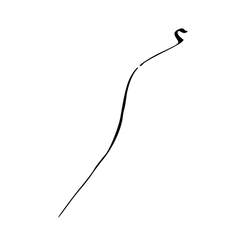 I10 — Cobra