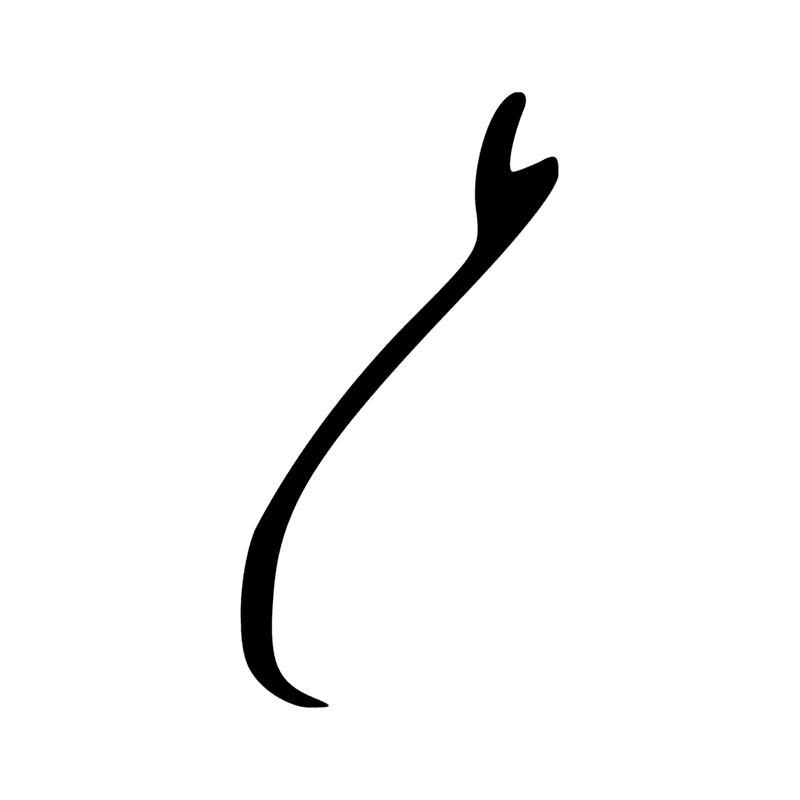 Signe n° 6181