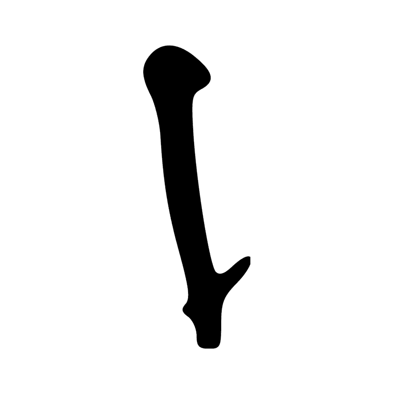 Signe n° 6241