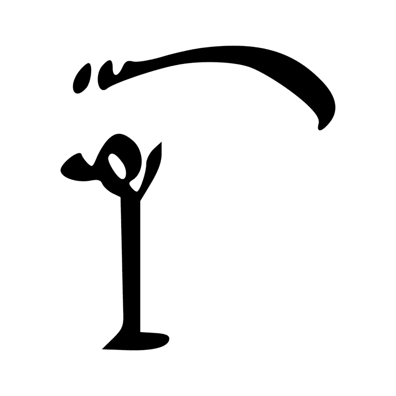 V29 — Balai de fibres