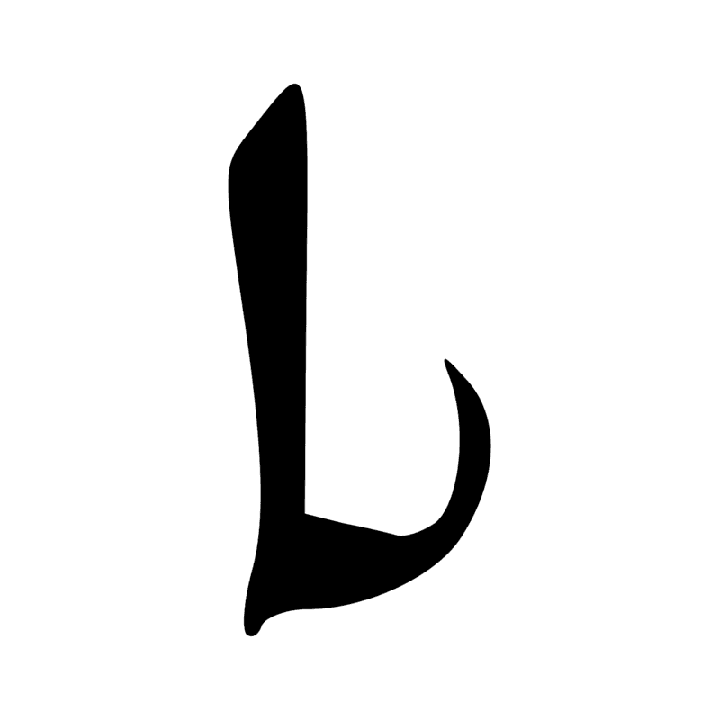 D58 — Jambe