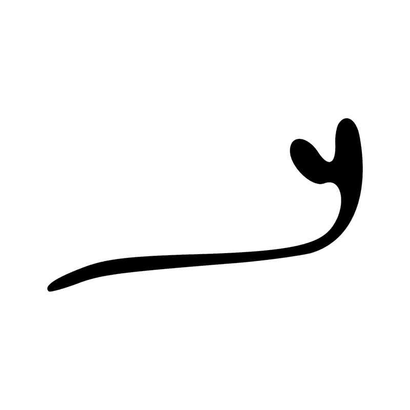 Signe n° 69