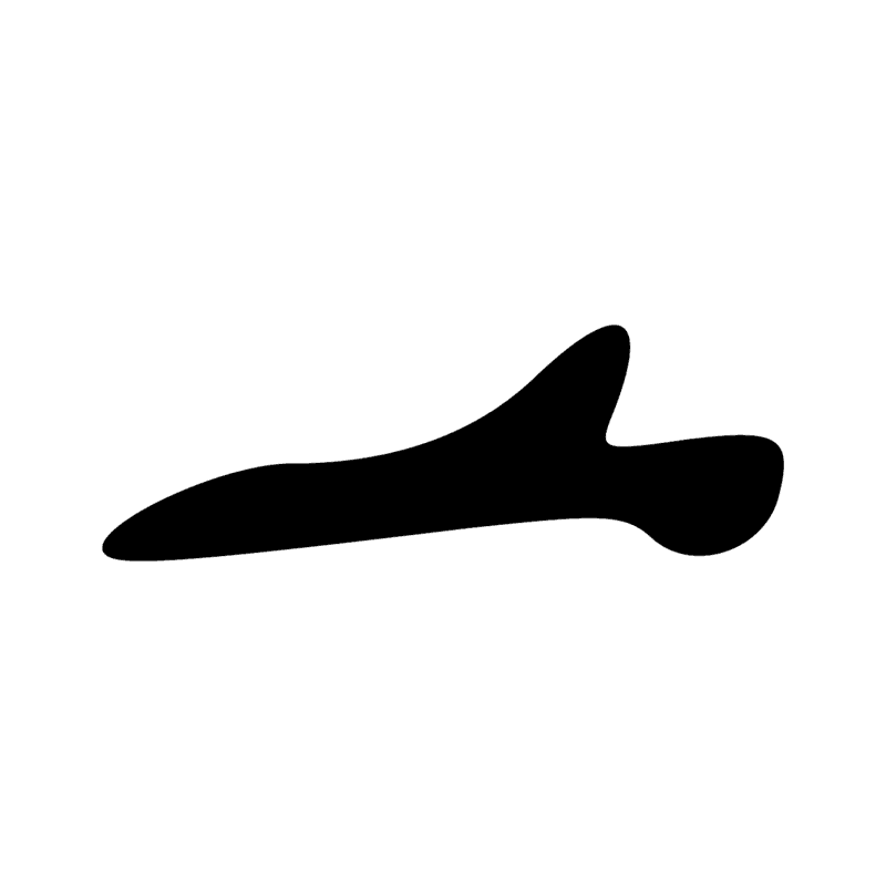 D46 — main