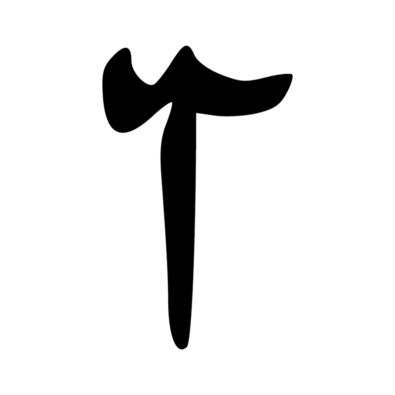 F12 — Tête et cou de canidé