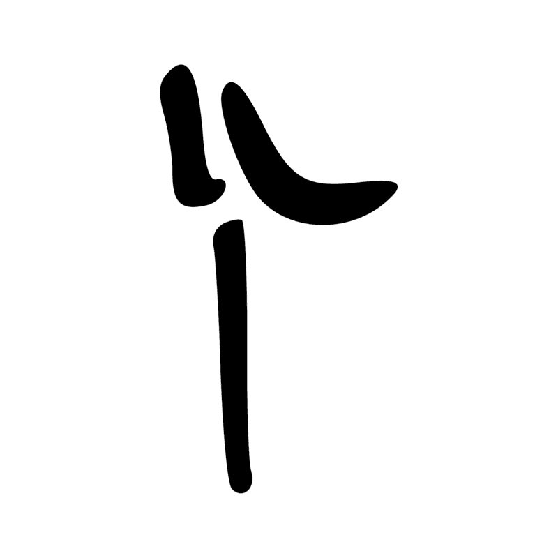 F12 — Tête et cou de canidé