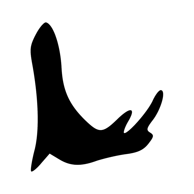 F21 — Oreille de bovin