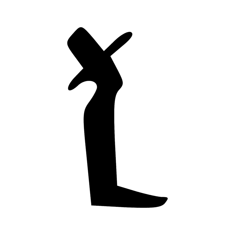 F25 — Patte et sabot de bovin