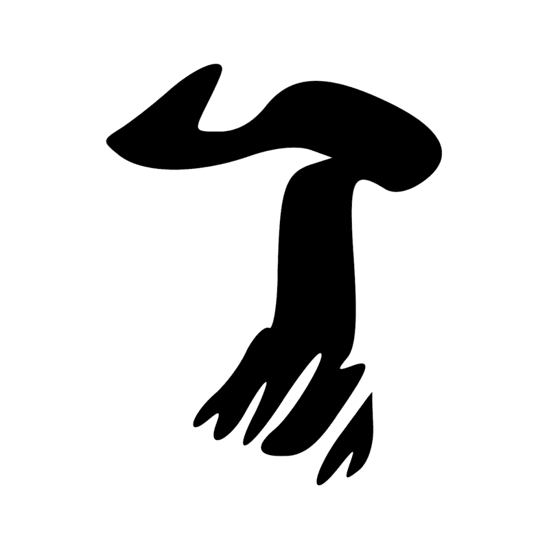 F27 — Peau de bovin