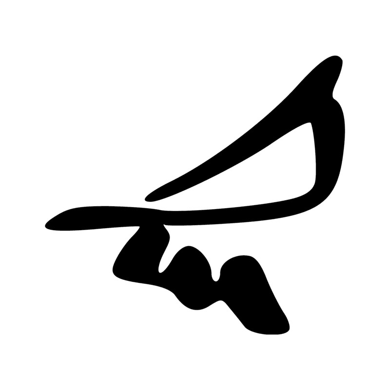 G36 — Hirondelle ou martinet
