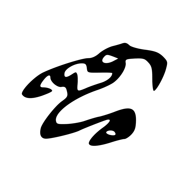 G25 — Ibis à crête