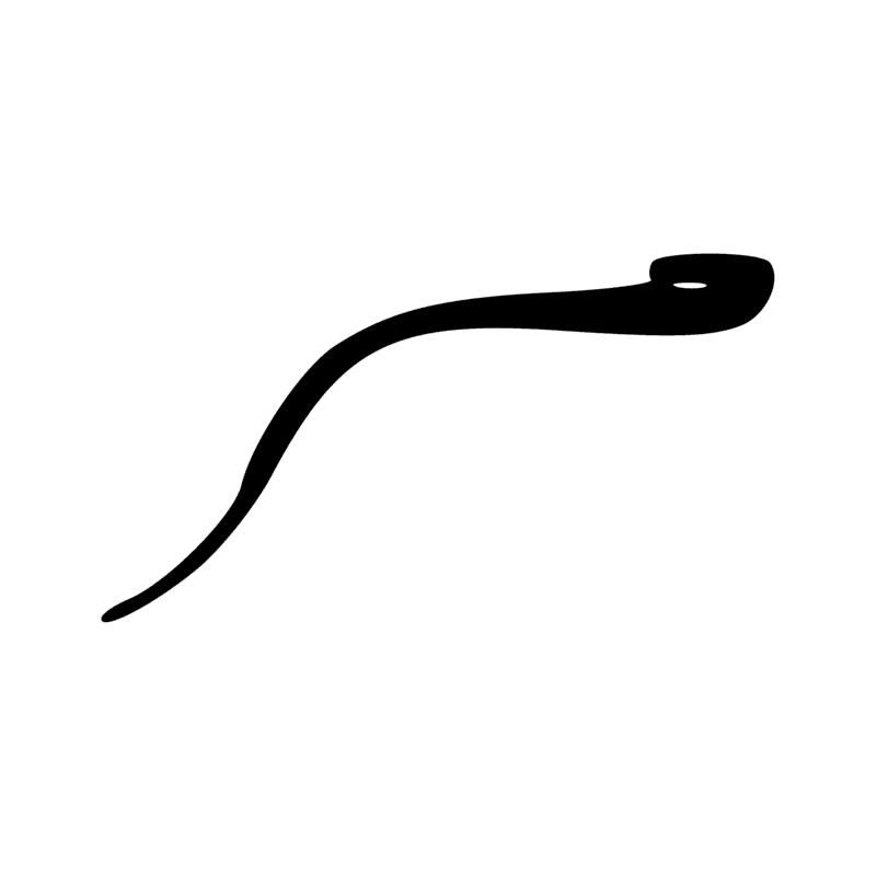 I10 — Cobra