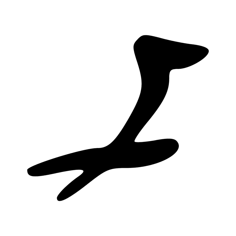 G39 — Canard pilet