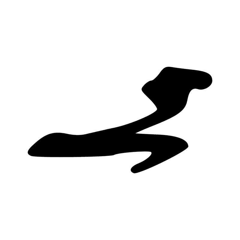 G39 — Canard pilet