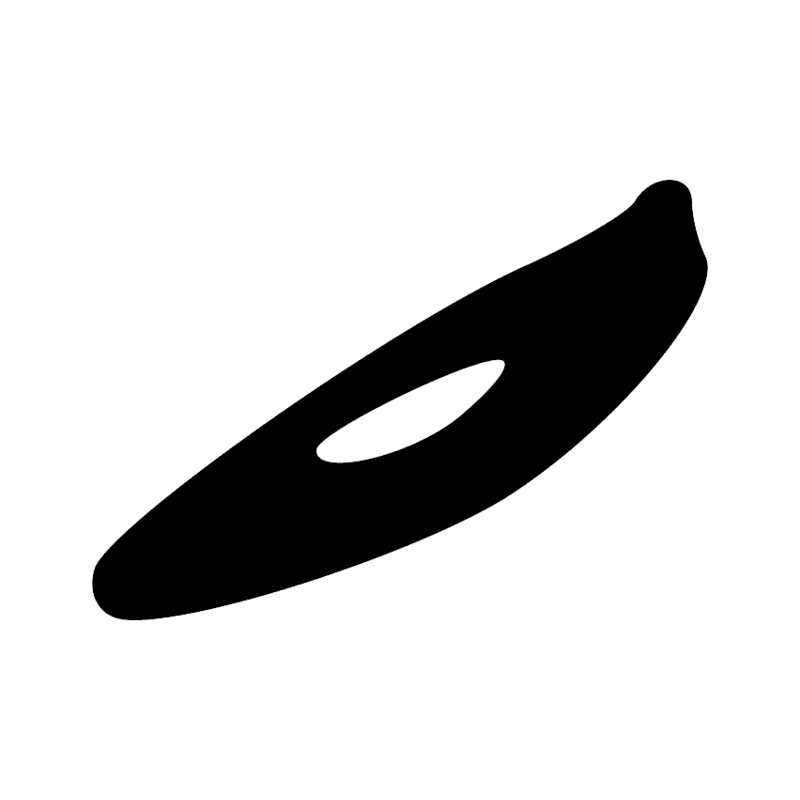 G39 — Canard pilet