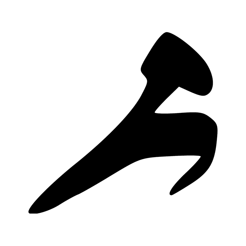 G38 — Oie rieuse