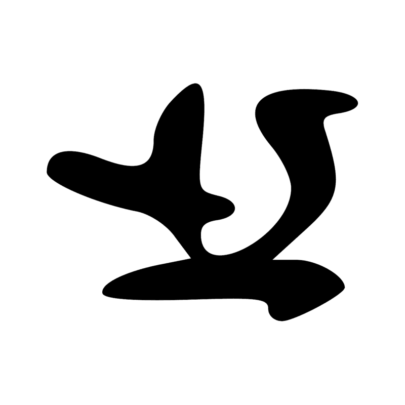 G40 — Canard pilet en vol
