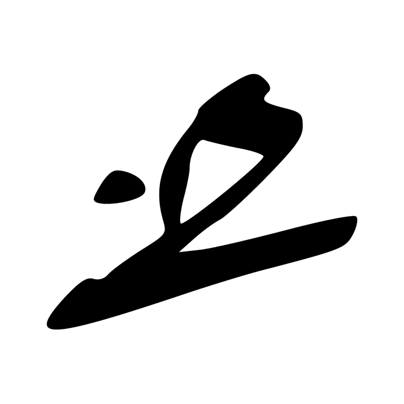 G40 — Canard pilet en vol