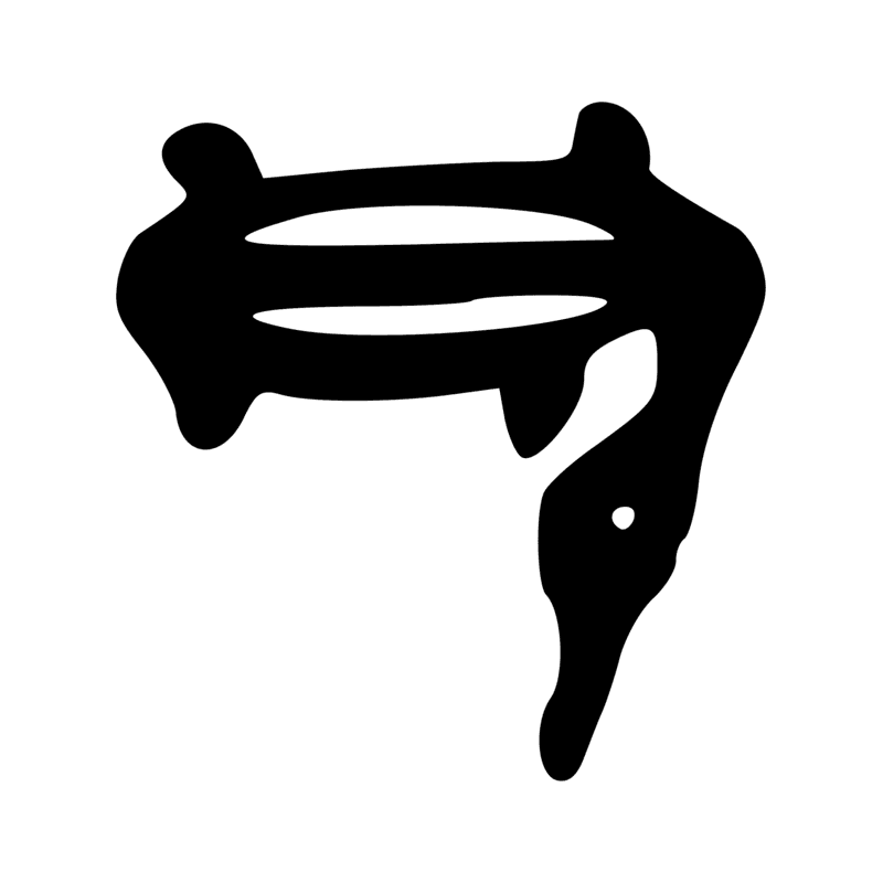 G54 — Oie troussée