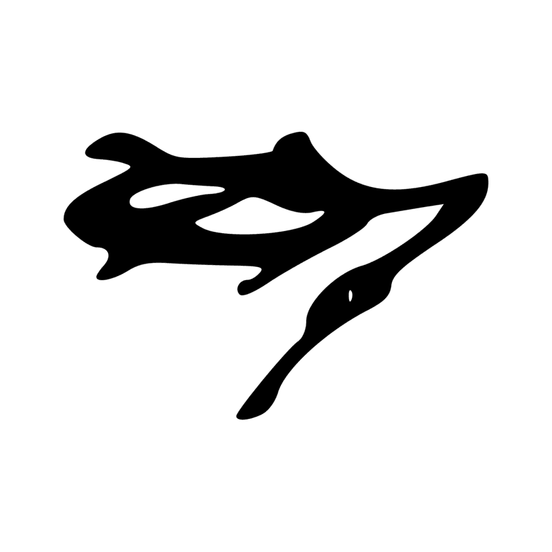 G54 — Oie troussée