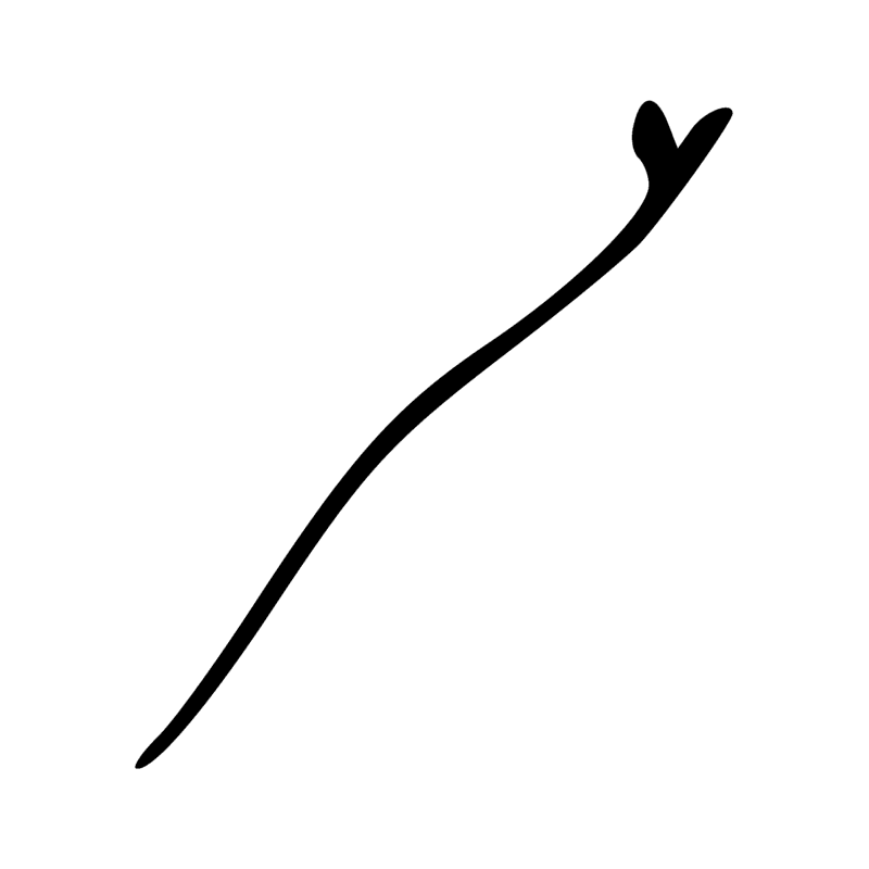 Signe n° 802