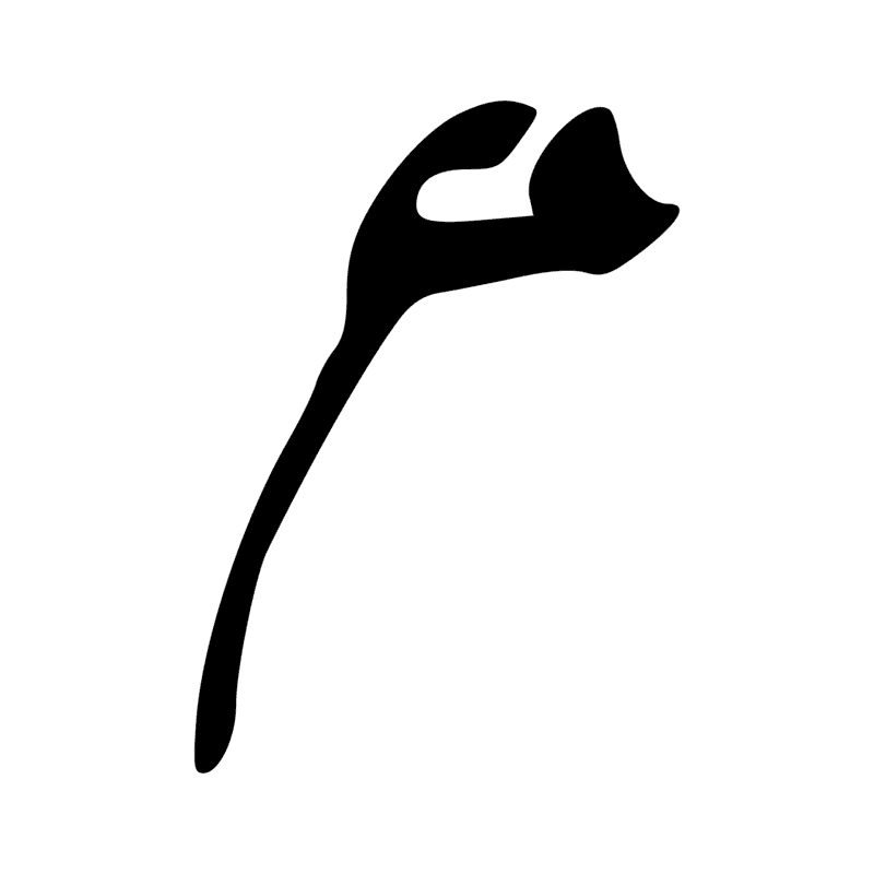 H3 — Tête de spatule
