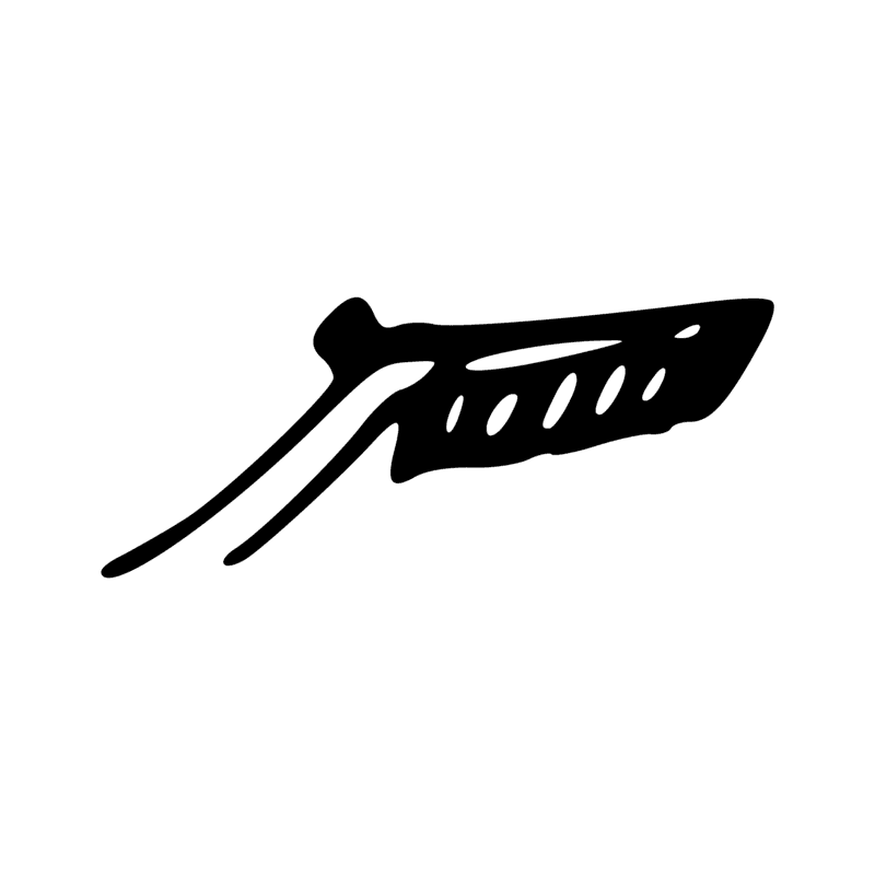 Signe n° 8029