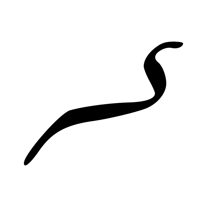 Signe n° 8097