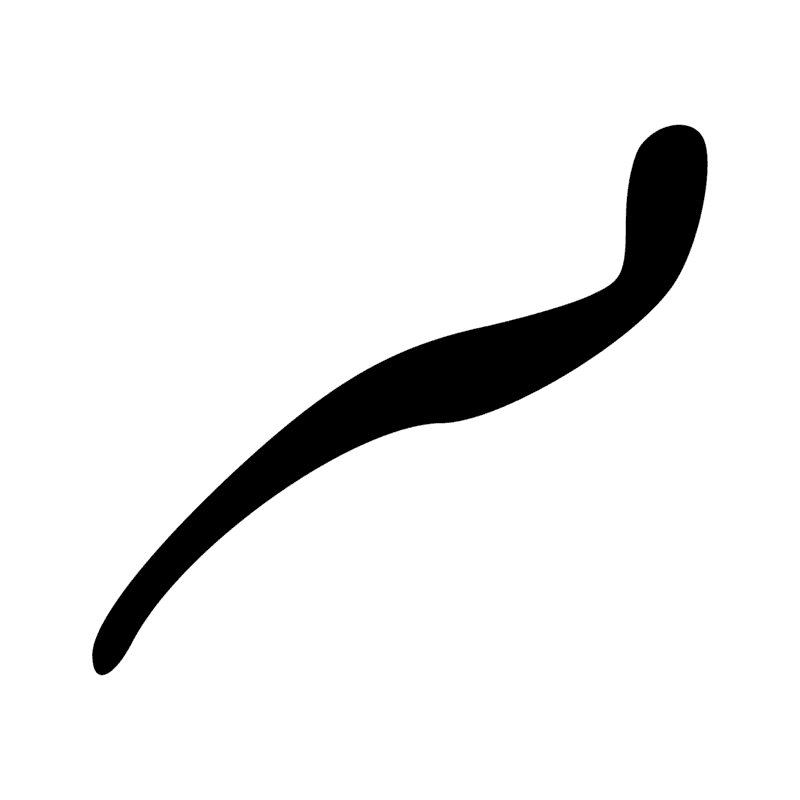 Signe n° 8207