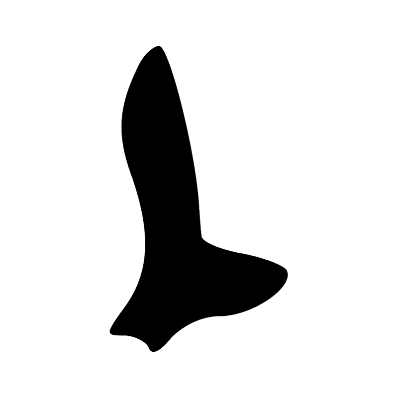 Signe n° 8455