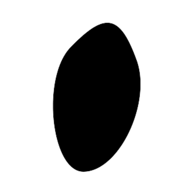 N5 — Disque solaire
