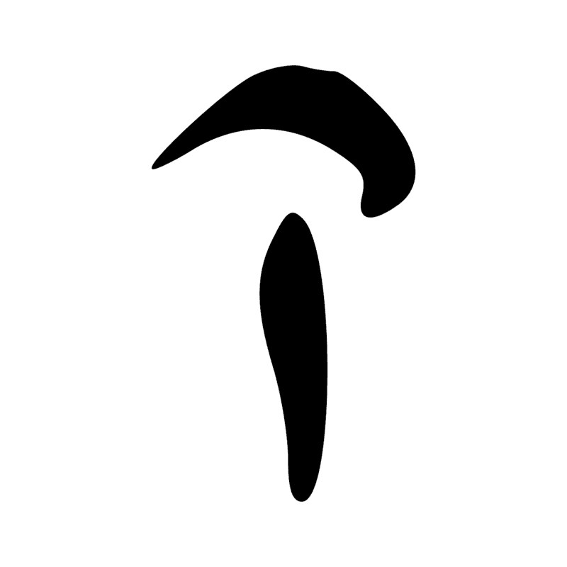 N11 Z1